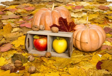 elma sandık üzerinde sonbahar yaprakları