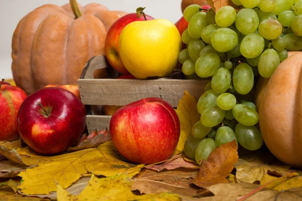 Frutas y verduras en hojas de otoño — Foto de Stock