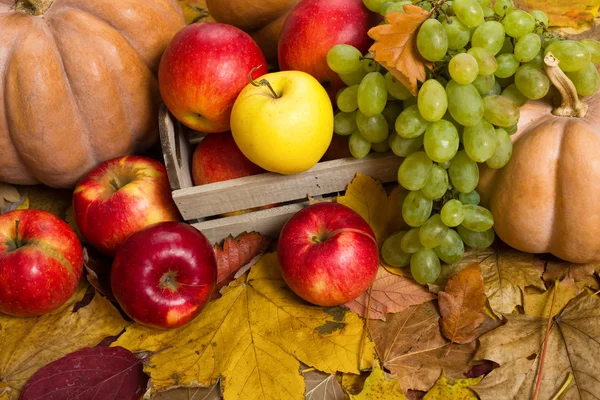 Frutas y verduras en hojas de otoño — Foto de Stock