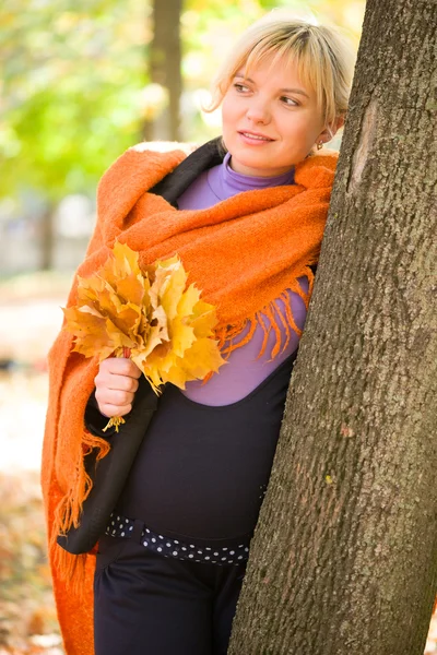 Pregnant woman in autumn park — Stock Photo, Image