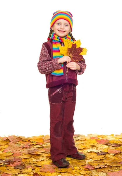 Girl on autumn leaves studio shoot Stock Photo