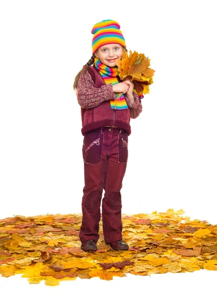 Girl on autumn leaves studio shoot — Stock Photo, Image