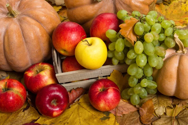Frutas y verduras en hojas de otoño — Foto de Stock