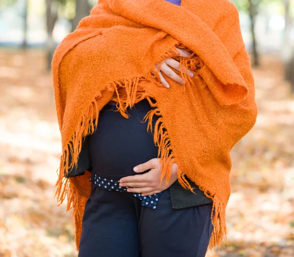 Donna incinta nel parco autunnale — Foto Stock