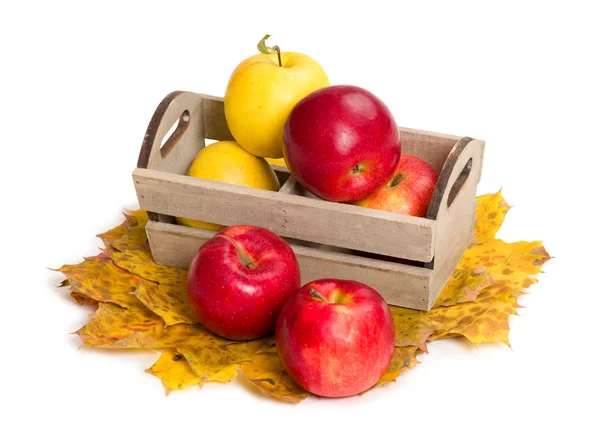 Las manzanas en la caja sobre las hojas otoñales — Foto de Stock