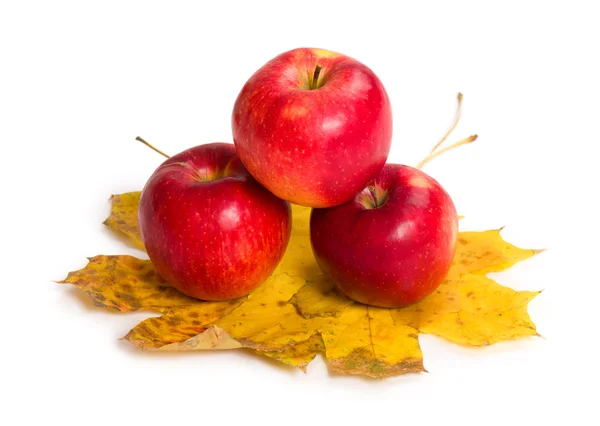 Jabłka i jesień liść na białym tle — Zdjęcie stockowe