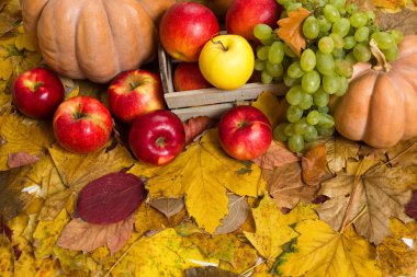 meyve ve sebze sonbahar yaprakları üzerinde