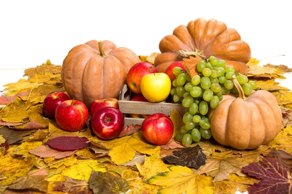 Fruits and vegetables on autumn leaves Royalty Free Stock Photos