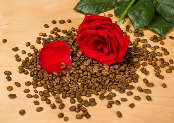 Rosa roja sobre semillas de café y fondo de madera — Foto de Stock