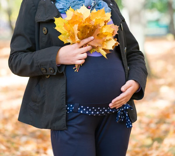 Pregnant woman in autumn park — Stock Photo, Image