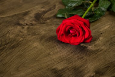 Ahşap arkaplanda kırmızı gül