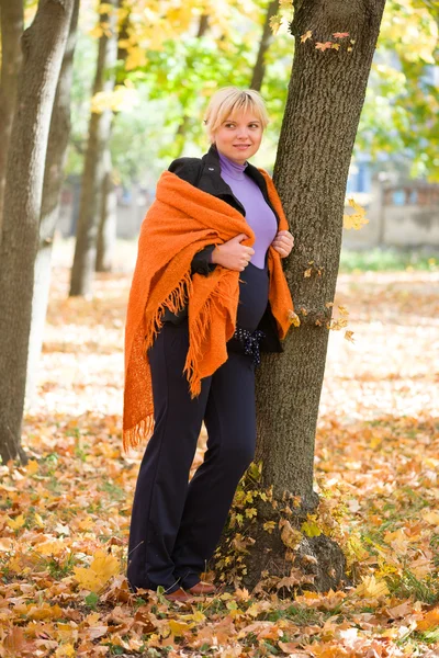 Pregnant woman in autumn park — Stock Photo, Image