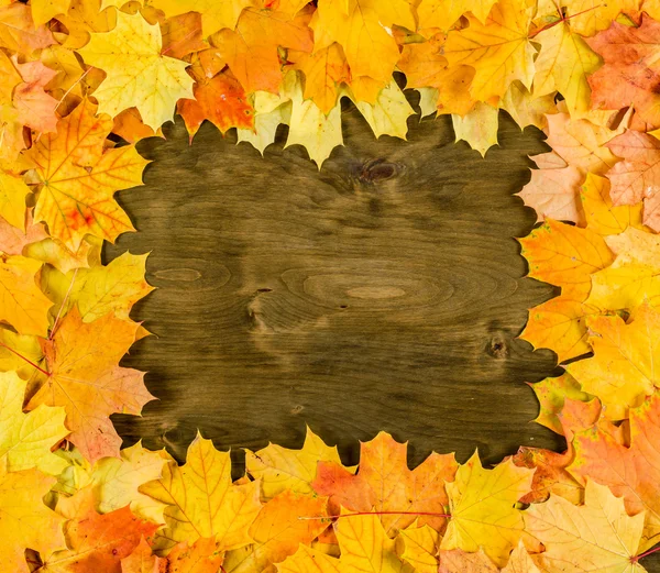 Marco de hojas de arce de otoño en madera oscura —  Fotos de Stock