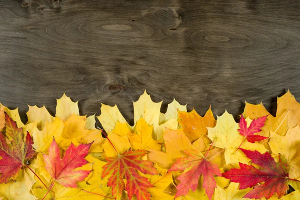 Herbst Blätter Rahmen auf Holz Hintergrund — Stockfoto