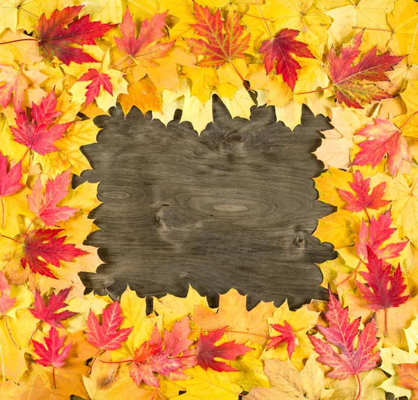 Podzimní listí rám na pozadí dřeva — Stock fotografie