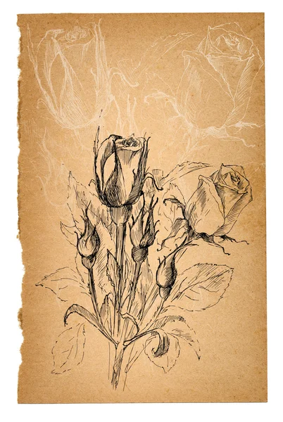 Blomma skiss på gamla papper blad — Stockfoto
