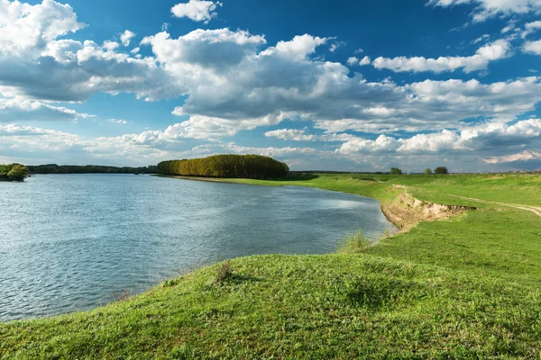 Heller Sommerwald und Fluss. — Stockfoto