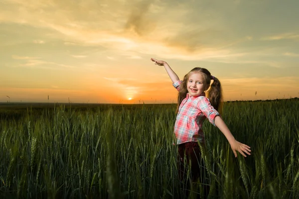 Dívka dítě portrét v poli při západu slunce — Stock fotografie