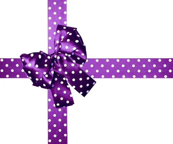 Violet bow and ribbon with white polka dots made from silk — Stock Photo, Image