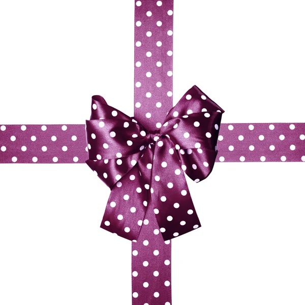 Violet bow and ribbon with white polka dots made from silk — Stock Photo, Image