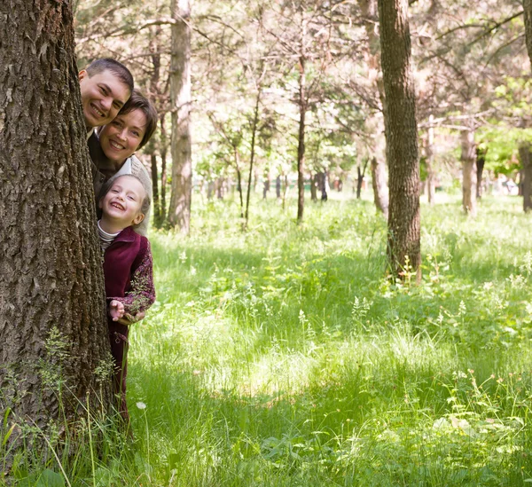 Familj i parken — Stockfoto