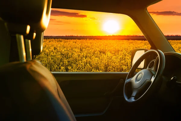 View from car window on the field at sunset — Stock Photo, Image