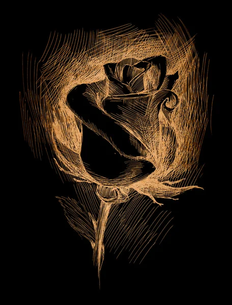 Flower sketch on black background — Stock Photo, Image