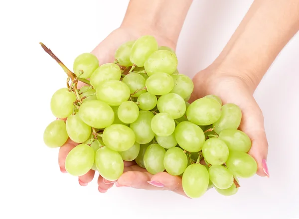 Raisin dans les mains de la femme gros plan fond blanc — Photo