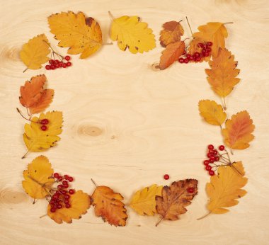 çerçeve sonbahar koleksiyonu ve berry ahşap arka plan üzerinde bırakır