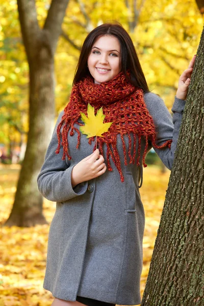 Beautiful young girl portrait in yellow city park, fall season — Stock Photo, Image