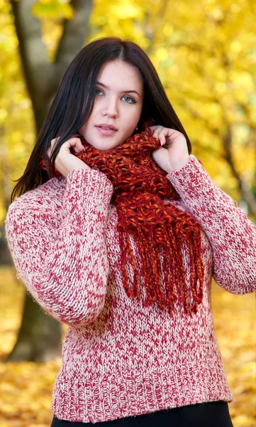 Beautiful young girl portrait in yellow city park, fall season — Stock Photo, Image