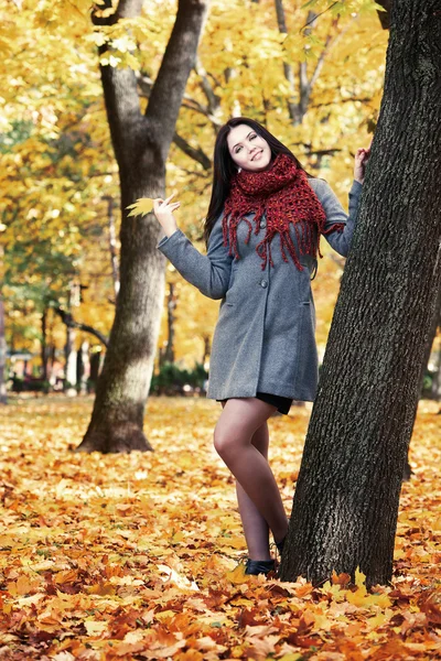 Beautiful young girl portrait in yellow city park, fall season — Stock Photo, Image