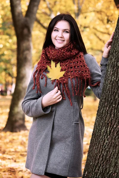 年轻漂亮的女孩画像在黄色的城市公园，秋天的季节 — 图库照片