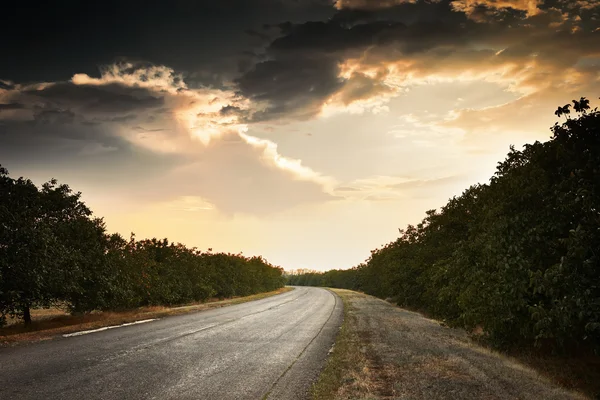 Hermoso atardecer en la carretera, paisaje de verano — Foto de Stock