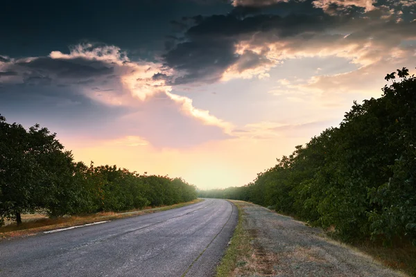 Hermoso atardecer en la carretera, paisaje de verano — Foto de Stock