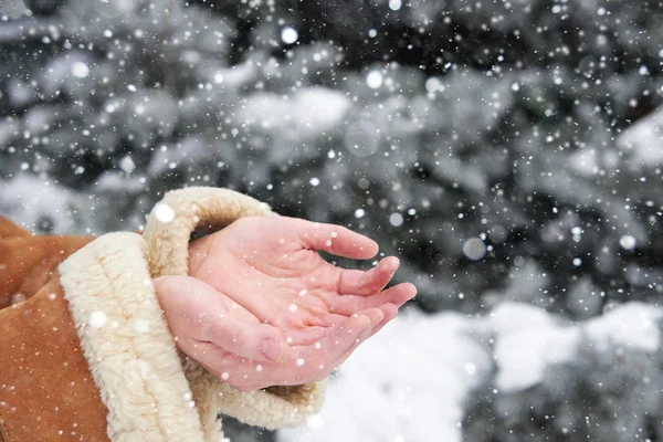 Chutes de neige sur les mains des femmes, saison d'hiver — Photo