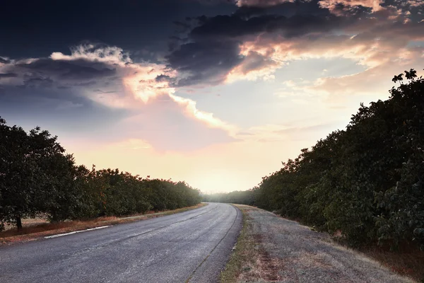 Krásný západ slunce na silnici, letní krajina — Stock fotografie