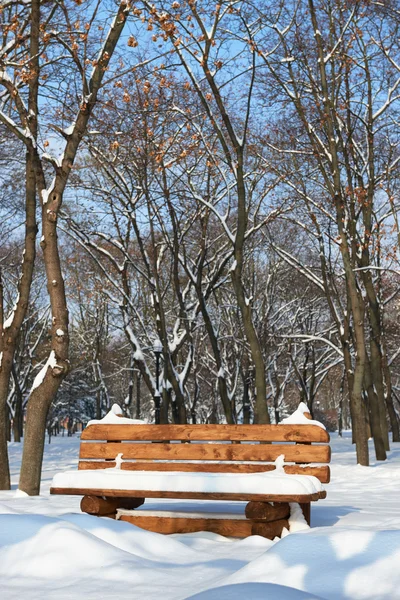 Dřevěná lavička v parku zimní. Jasný slunečný den a sníh. — Stock fotografie