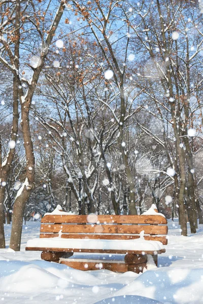 Banc en bois dans le parc d'hiver. Belle journée ensoleillée et neige . — Photo