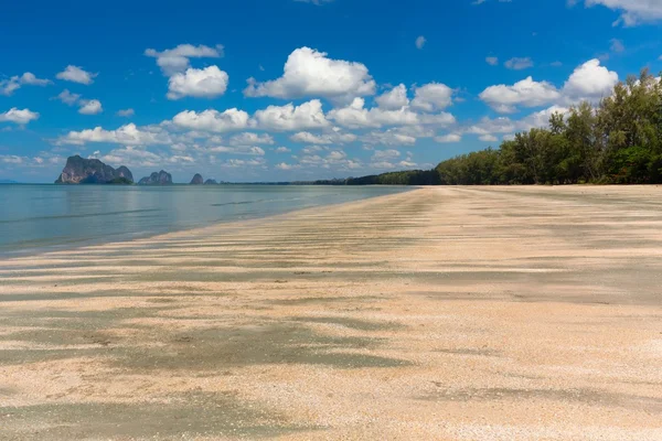 Tropische wilde strand — Stockfoto