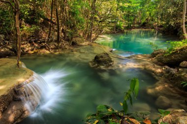 Berrak tropik şelale