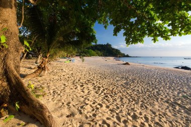 Sakin tropikal vahşi beach