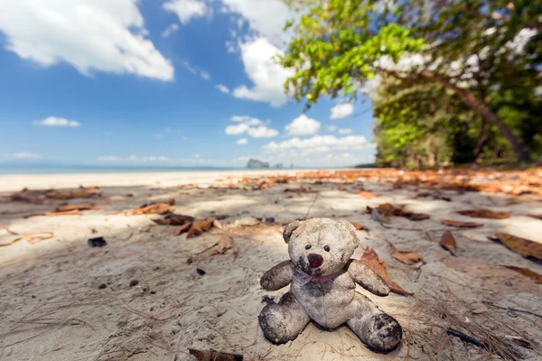 Oyuncak ayı sahilde — Stok fotoğraf