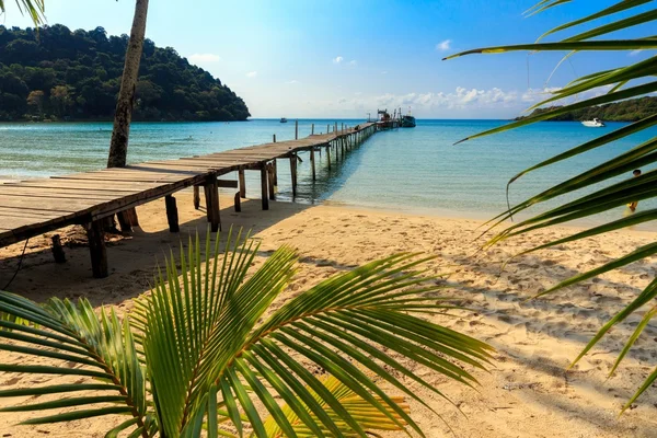 Idyllic tropical beach — Stok fotoğraf