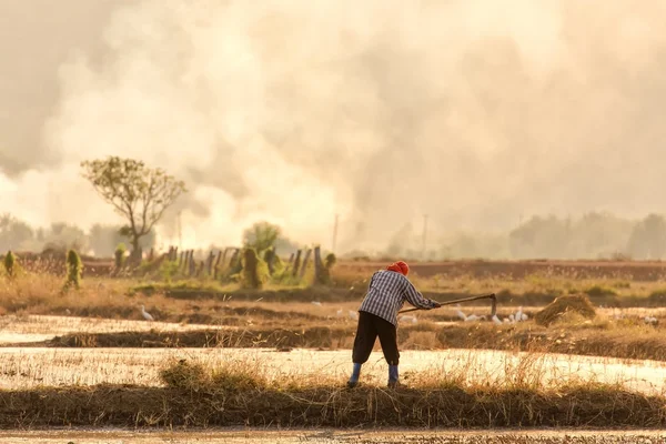 在北碧府的泰国农民 — 图库照片