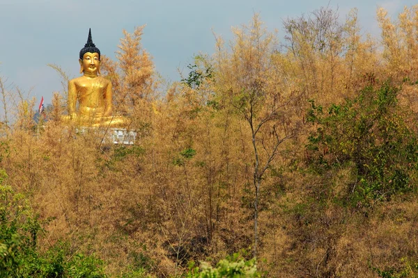 Bambu ormandaki altın Buddha — Stok fotoğraf