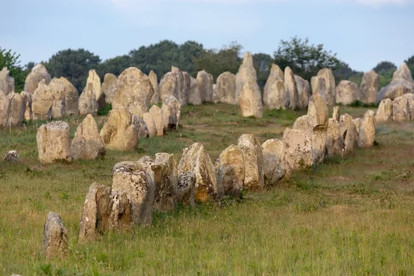 Piedras de carnac en Bretaña — Foto de Stock