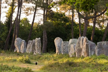 Carnac taşlar Brittany