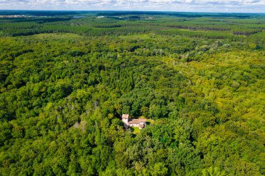 Ormanın ortasındaki Lugo buitl kilisesinin hava manzarası. Gironde, Fransa