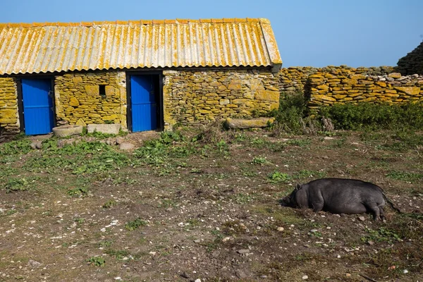 Old stone farm — Stock Photo, Image